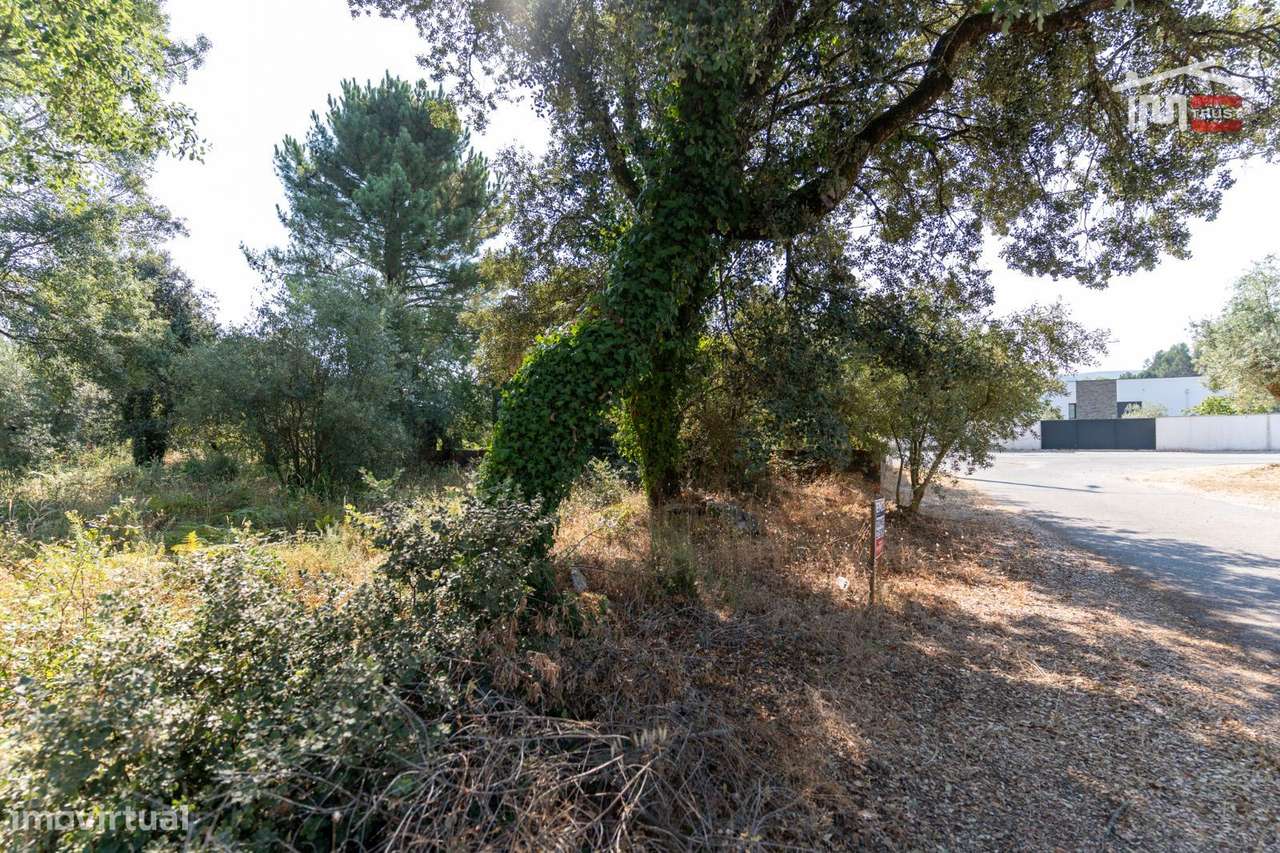 Terreno Rústico com viabilidade de construção em Maxieira, Fátima - Grande imagem: 5/14