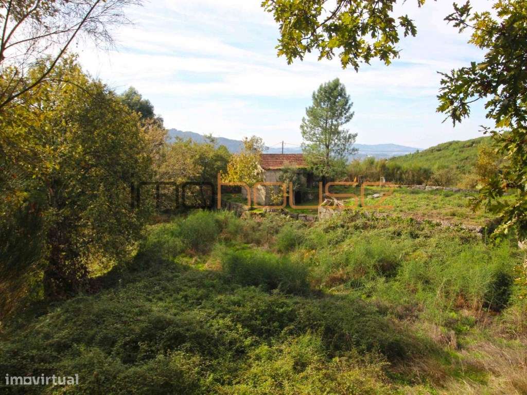 Quinta isolada - Amarante-26