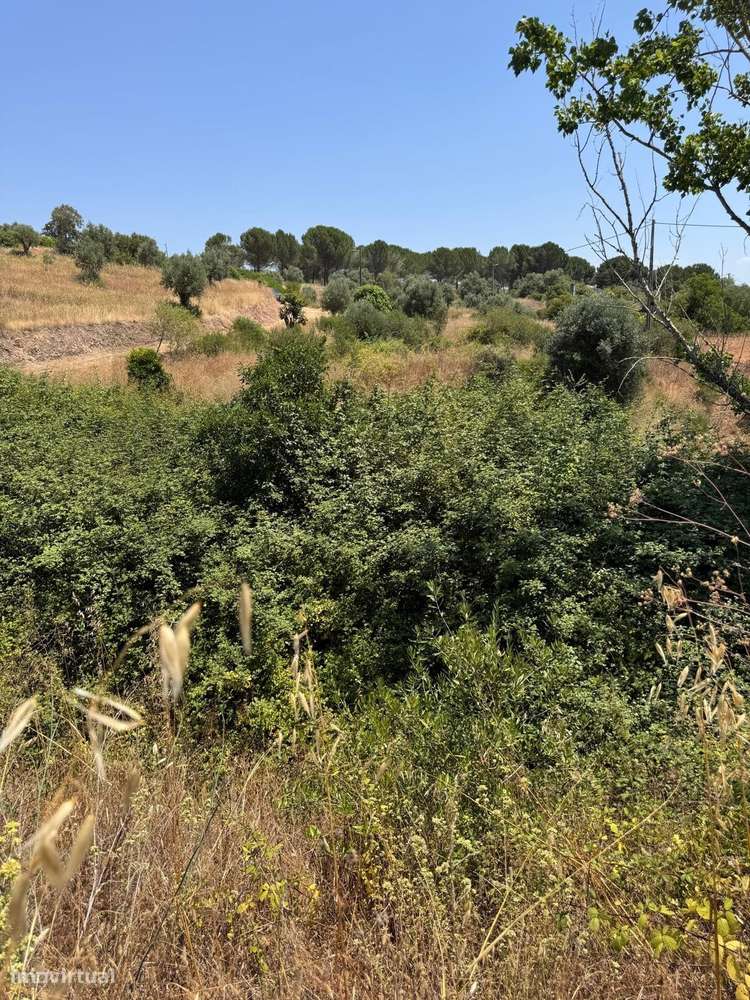 TERRENO PARA VENDA EM SANTARÉM - Grande imagem: 4/10