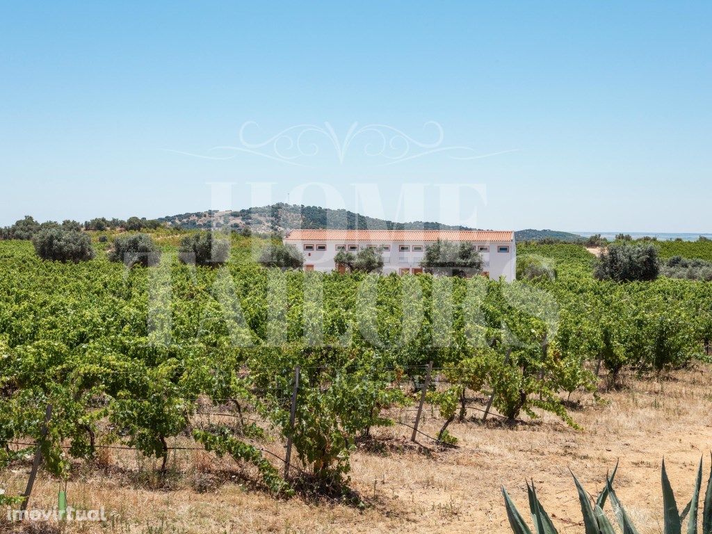 Herdade Alentejana - Quinta das Ratoeiras