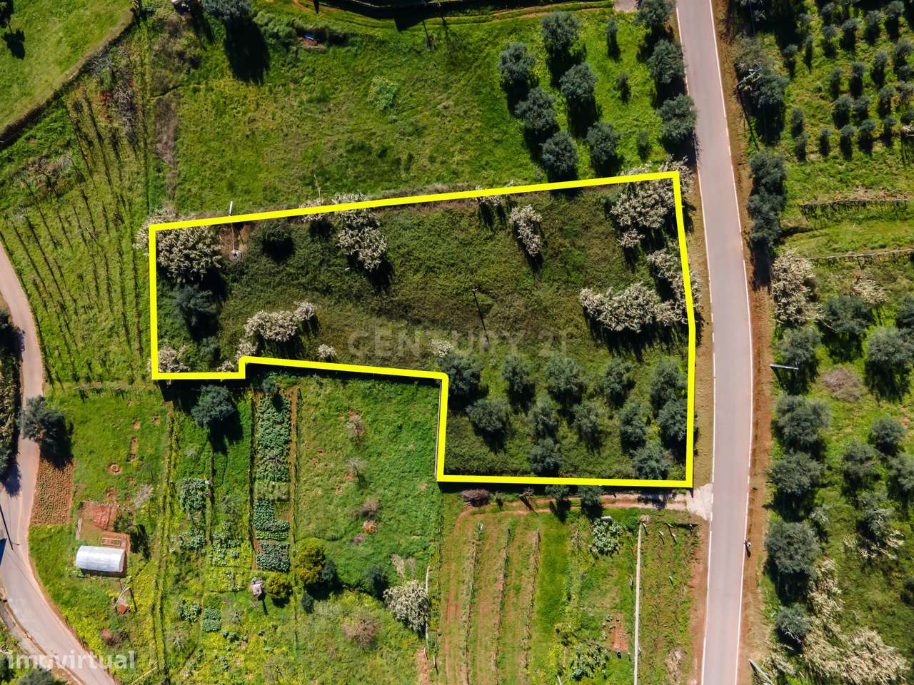 Terreno para Construção | Ceira - Grande imagem: 2/21