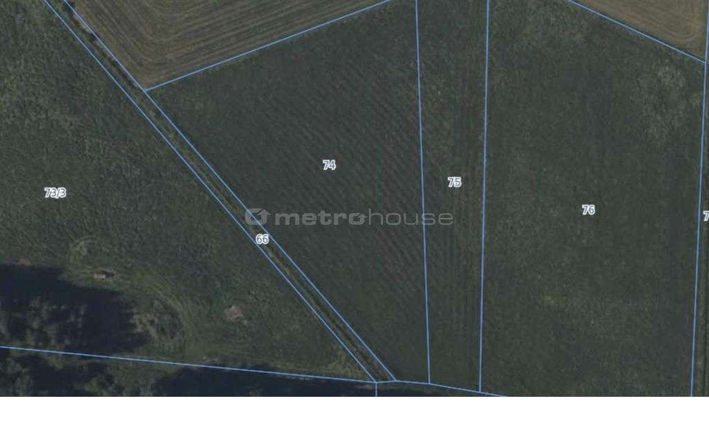 Działka rolna 0,75 Ha - Róże - Pełny obrazek: 4/4