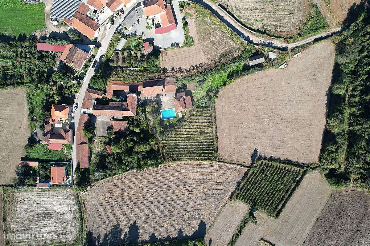 Quinta  para venda - Grande imagem: 5/14