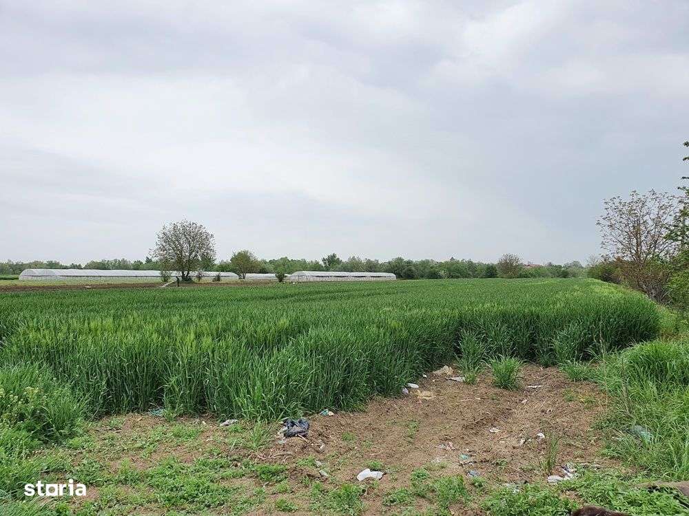 Vidra, Sat Cretesti, stradal - Imagine principală: 5/10