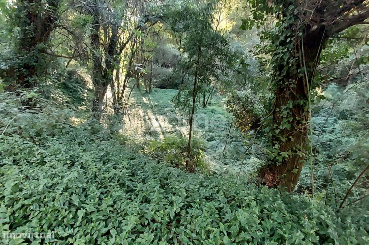Terreno Rustico com 1490m2, em Gondomar, Porto - Grande imagem: 2/15