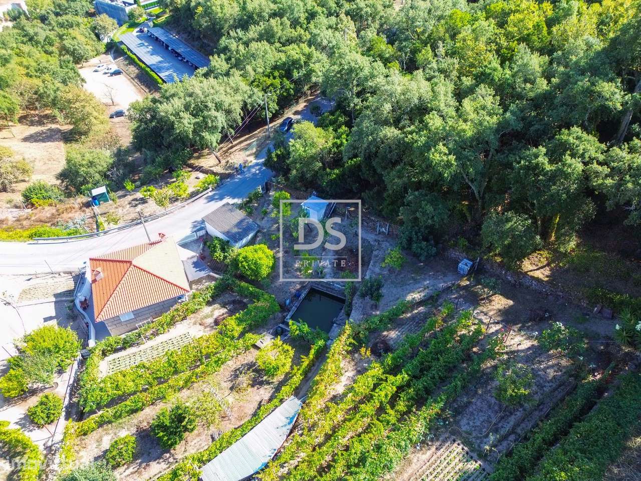 Terreno em Santa Cruz do Douro - Grande imagem: 5/13