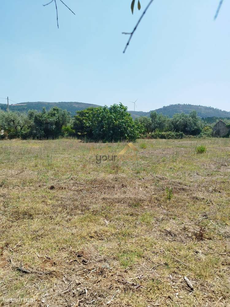 Terreno Urbano com 2.608m² em Moleanos - Grande imagem: 5/9