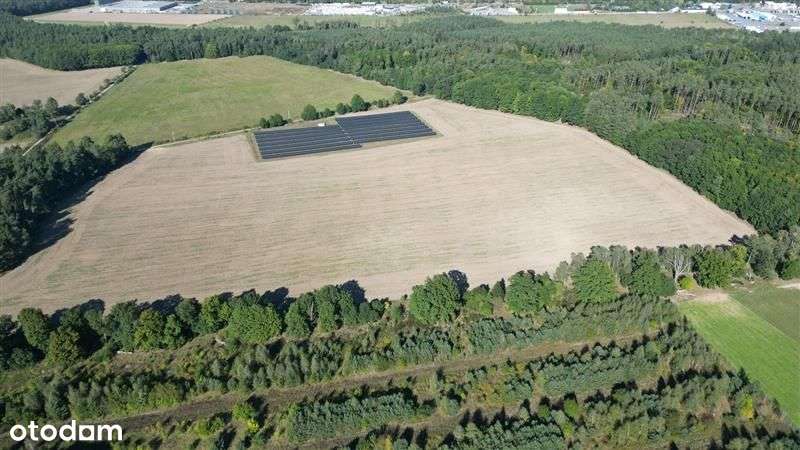 Działka - Przełazy - Pełny obrazek: 5/9