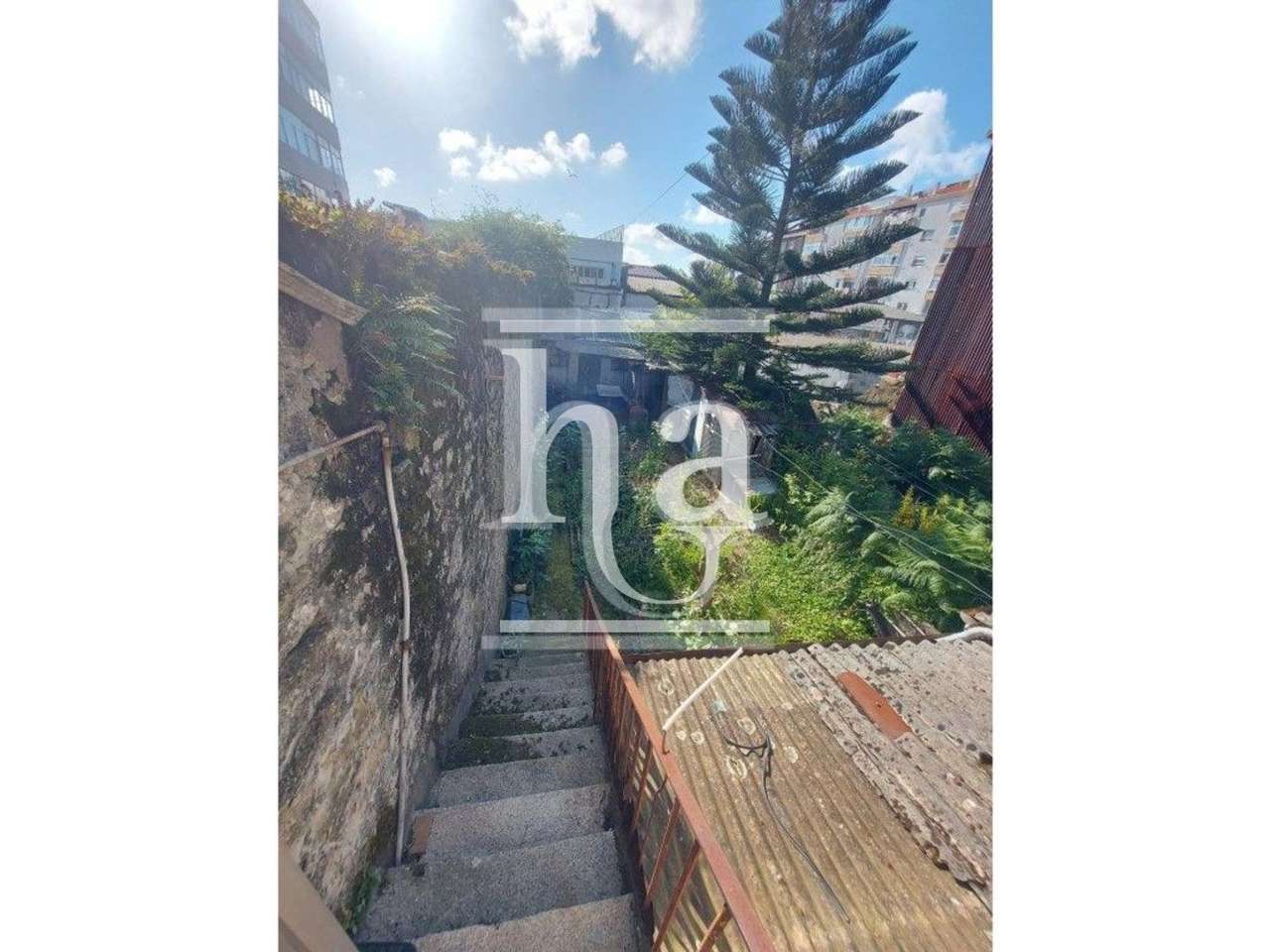 Moradia Porto- Avenida França - Grande imagem: 3/22