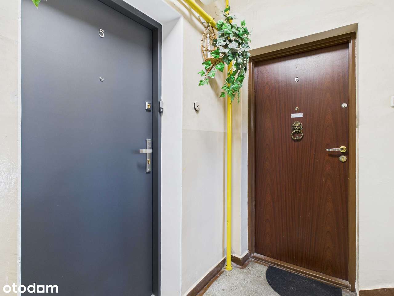 Katowice Nikiszowiec Kolonia Wysockiego 2 Pokoje 48m Niski Blok Balkon - Pełny obrazek: 3/20