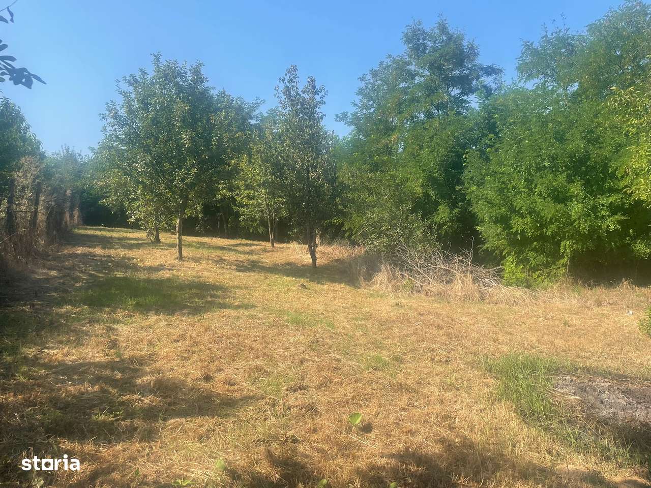 Teren intravilant în Cadea - Imagine principală: 5/9