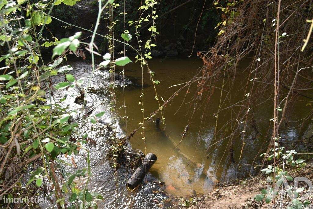 Terreno Agrícola em Sabacheira - Grande imagem: 4/36