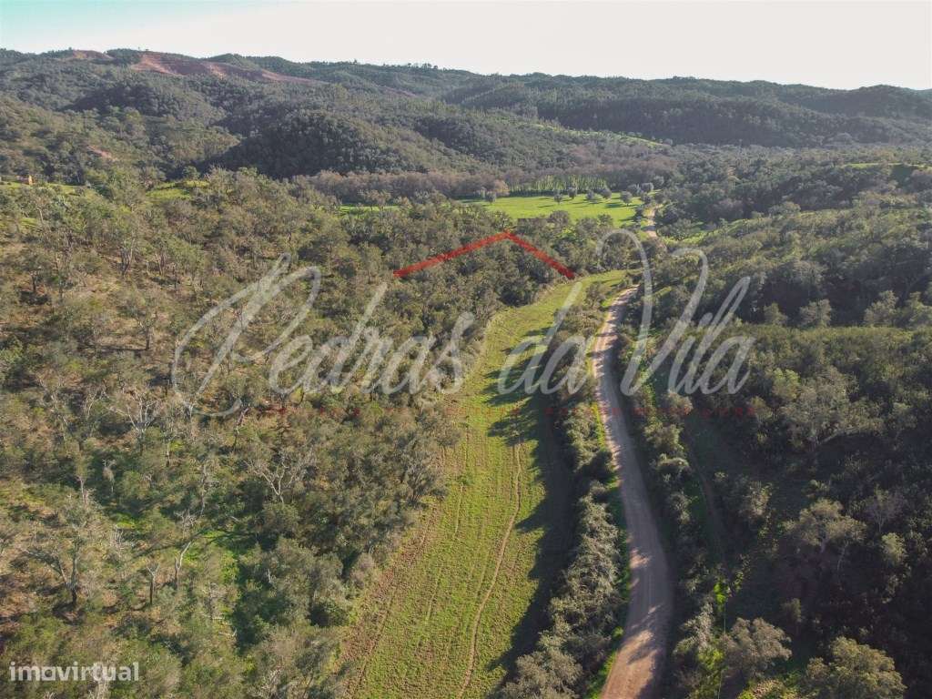 Monte Alentejano de 36ha com 3 ruinas - Pego das Pias - Odemira-15