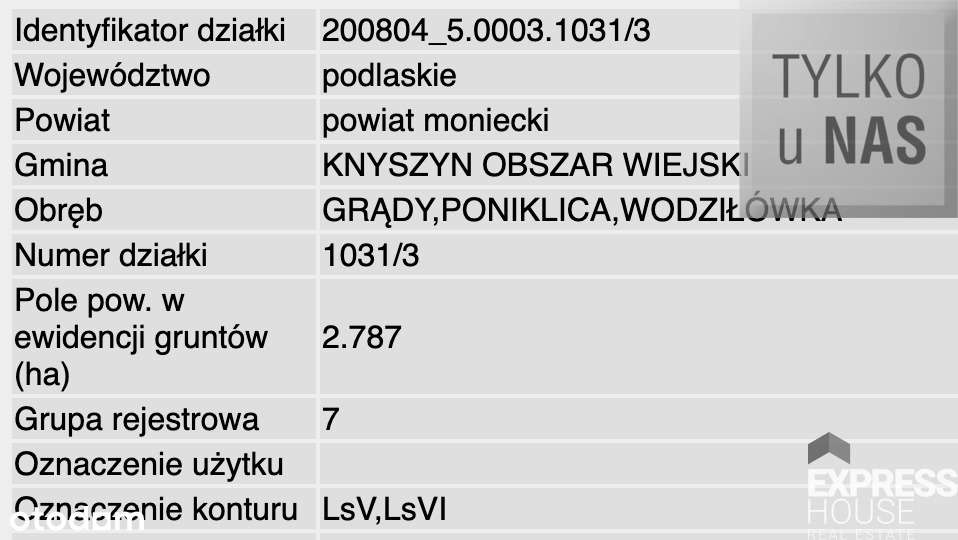 I Las na sprzedaż I Knyszyn I 27870m2 I - Pełny obrazek: 4/4