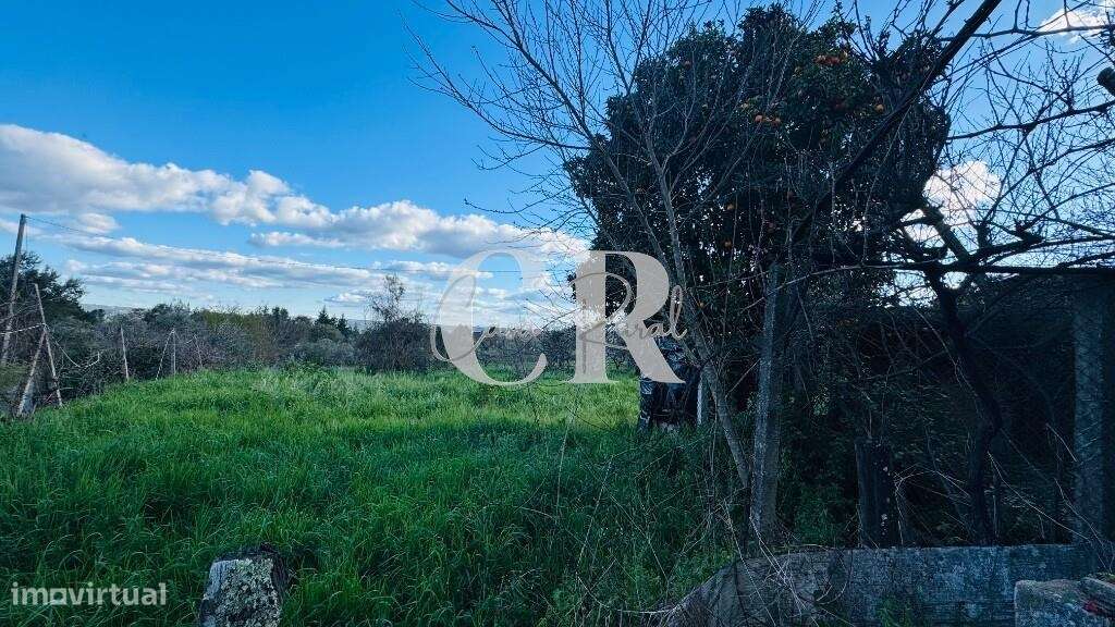 Quinta com casas de pedra para recuperar, poço e furo-30