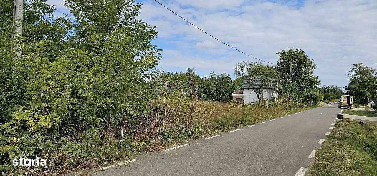 Ocazie! Teren intravilan ,ideal pentru casa ,imprejmuit(Ialomita) - Imagine principală: 5/6