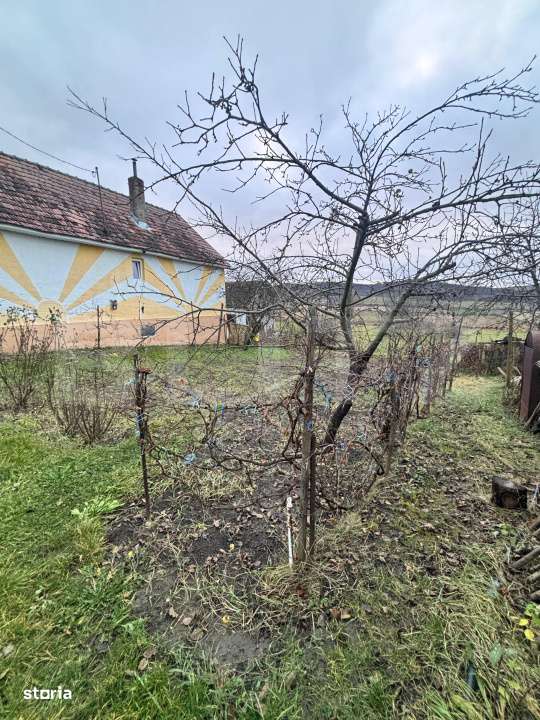 Casa traditionala batraneasca in Galatii Bistritei, cu teren generos s - Imagine principală: 4/19