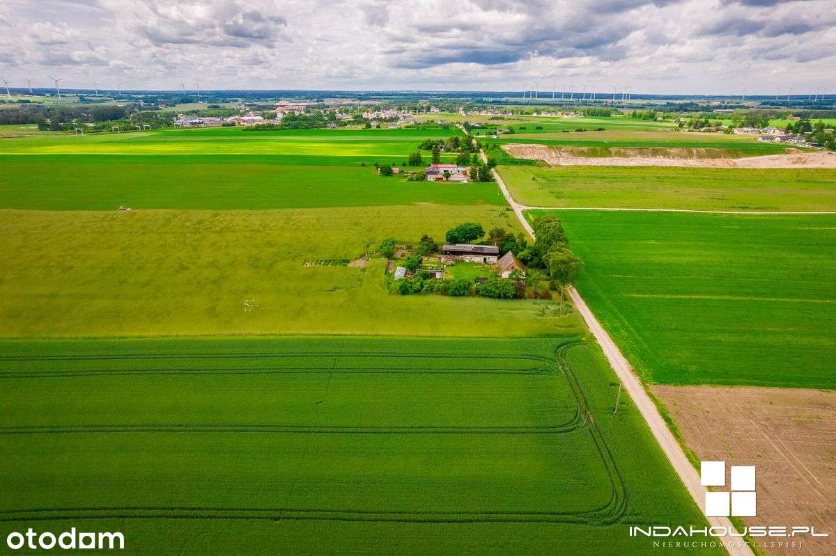 Duża działka pod budownictwo jednorodzinne Skórowo - Pełny obrazek: 3/8