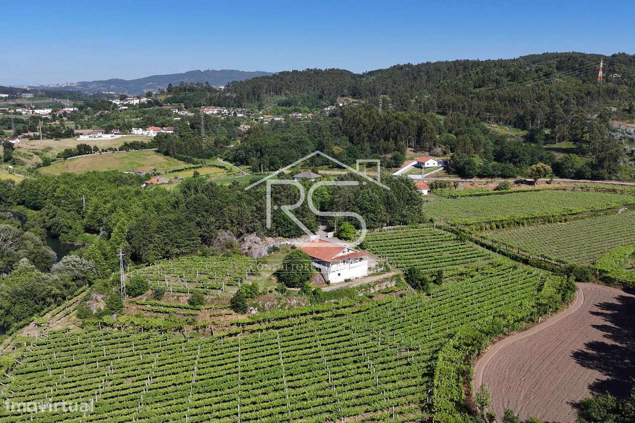 Quinta T6 | Selho São Jorge, Guimarães-16