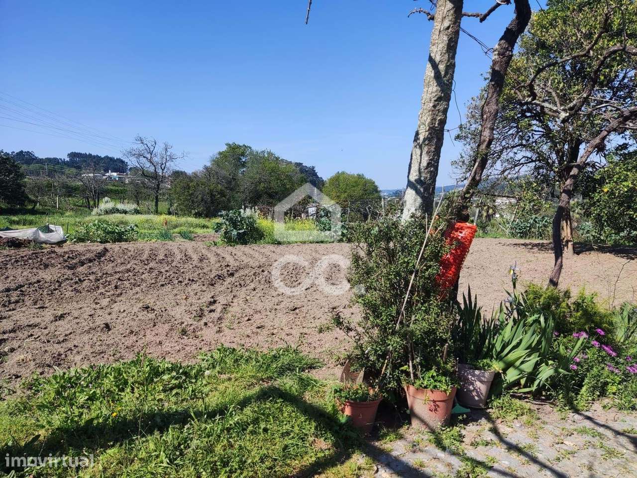Quinta, Termas de São Vicente, Penafiel-21