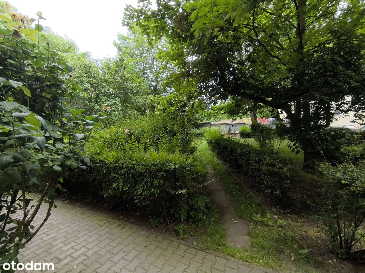 Centrum 42m2, Podwale 59, Inwestycyjne z Potencjałem !!!-11