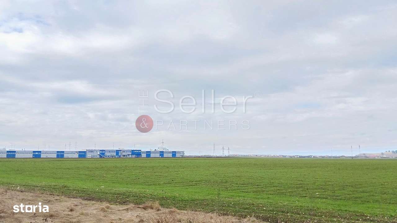 Teren Extravilan - Imagine principală: 4/6