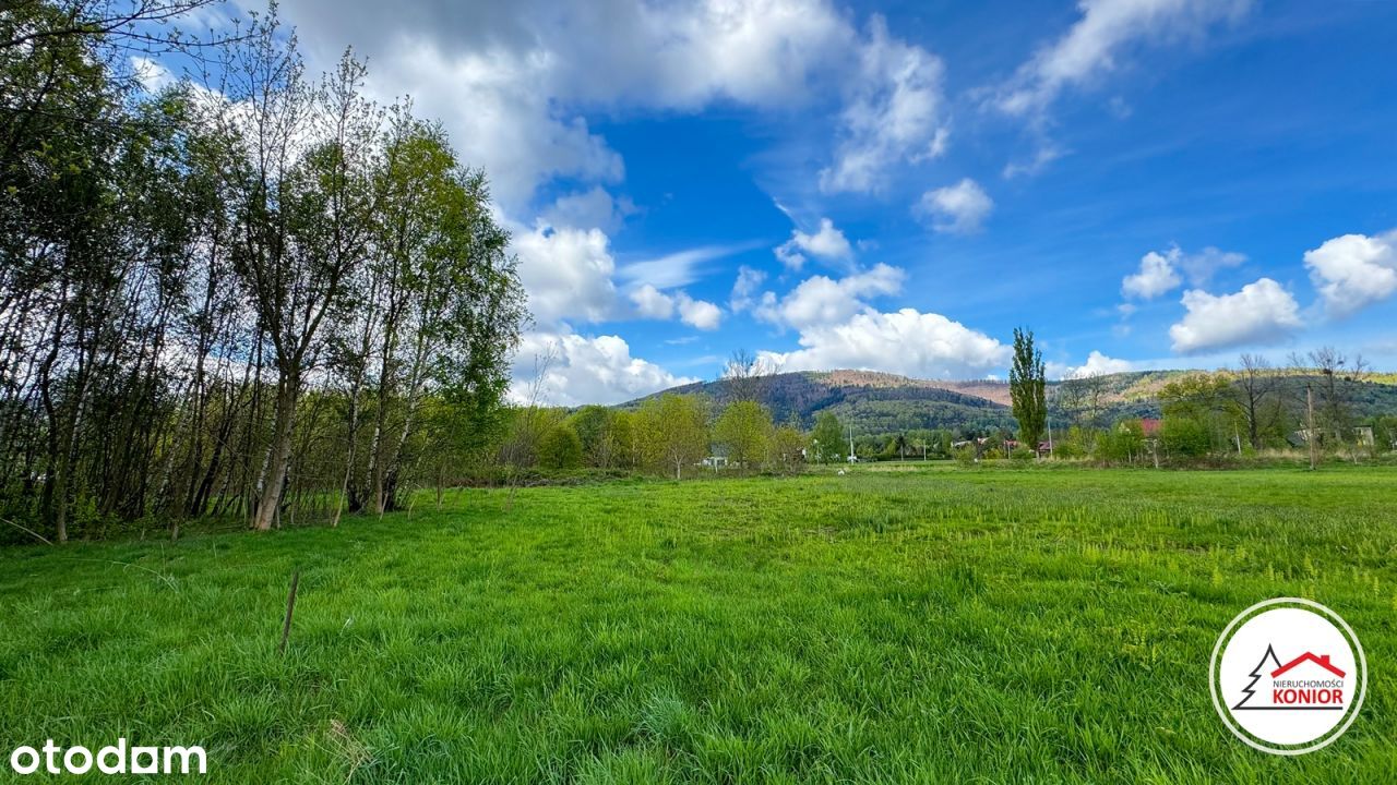 Działka, 14 000 m², Buczkowice