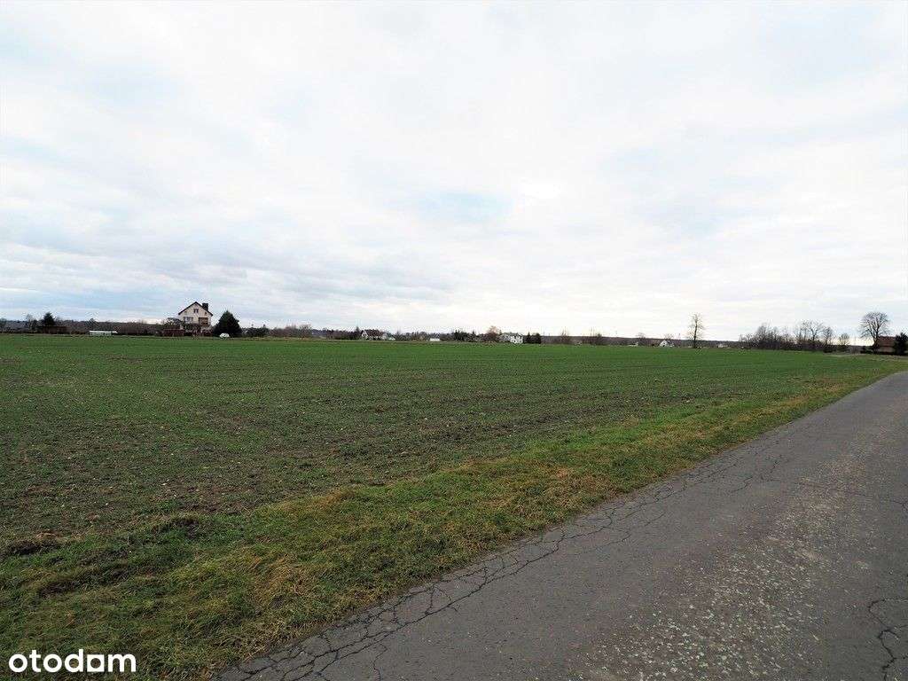 Malownicza działka budowlana 1,13 ha, Zagajnik - Pełny obrazek: 5/6