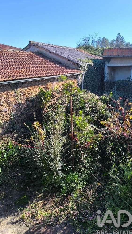 Moradia isolada T3 em São Martinho da Gândara de 255 m2 - Grande imagem: 3/26