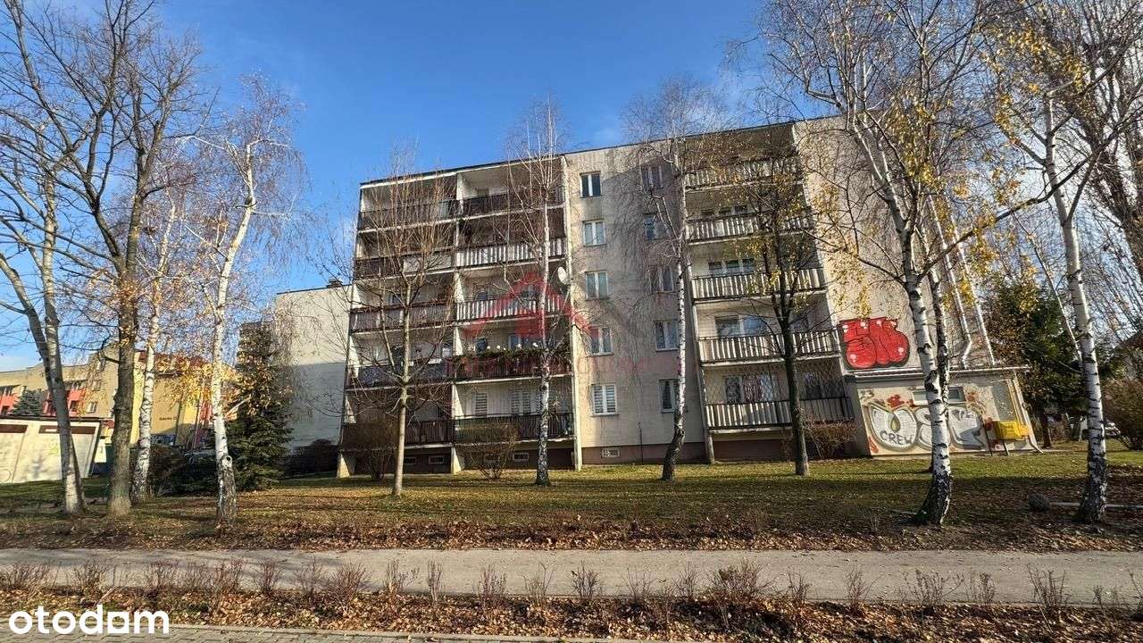 Funkcjonalny układ, oddzielna kuchnia, piwnica, pa-17