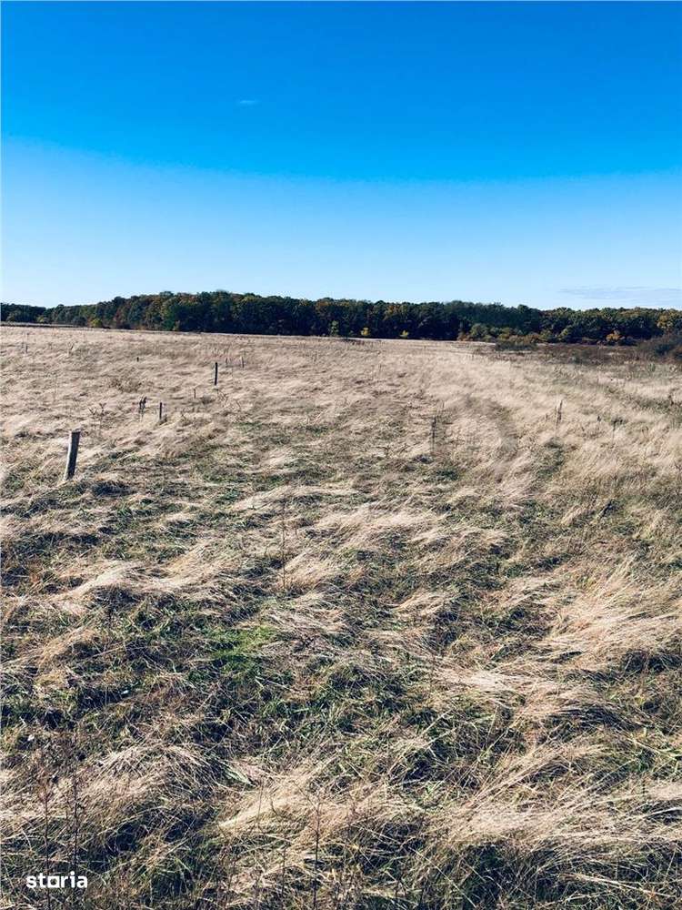 RECO Teren intravilan Cihei - Imagine principală: 4/5