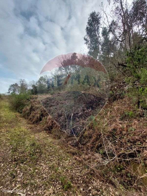 Terreno  para venda - Grande imagem: 5/11