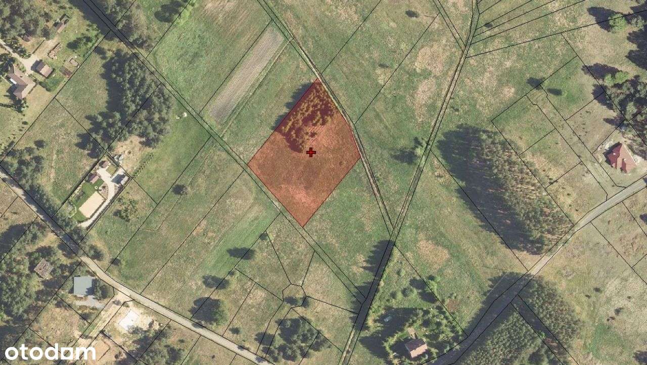 Działka rolna z własnym laskiem, Rybakowo. - Pełny obrazek: 5/6