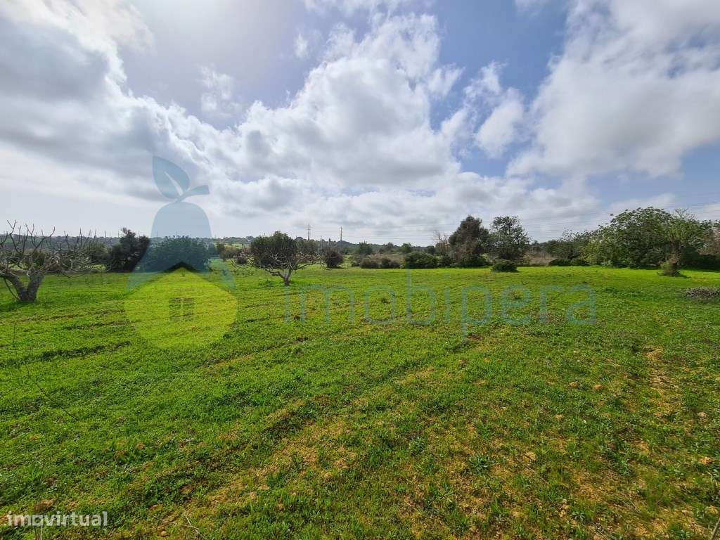 Terreno rústico com 14550 m2 em Albufeira, com boa exposição solar.... - Grande imagem: 5/8