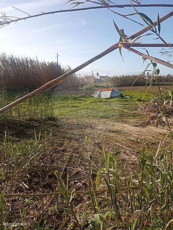 Terreno  para venda - Grande imagem: 5/5