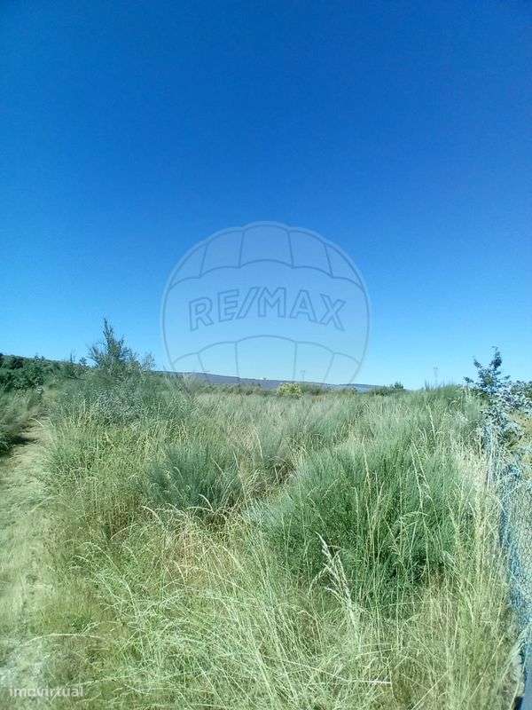 Terreno  para venda - Grande imagem: 2/5