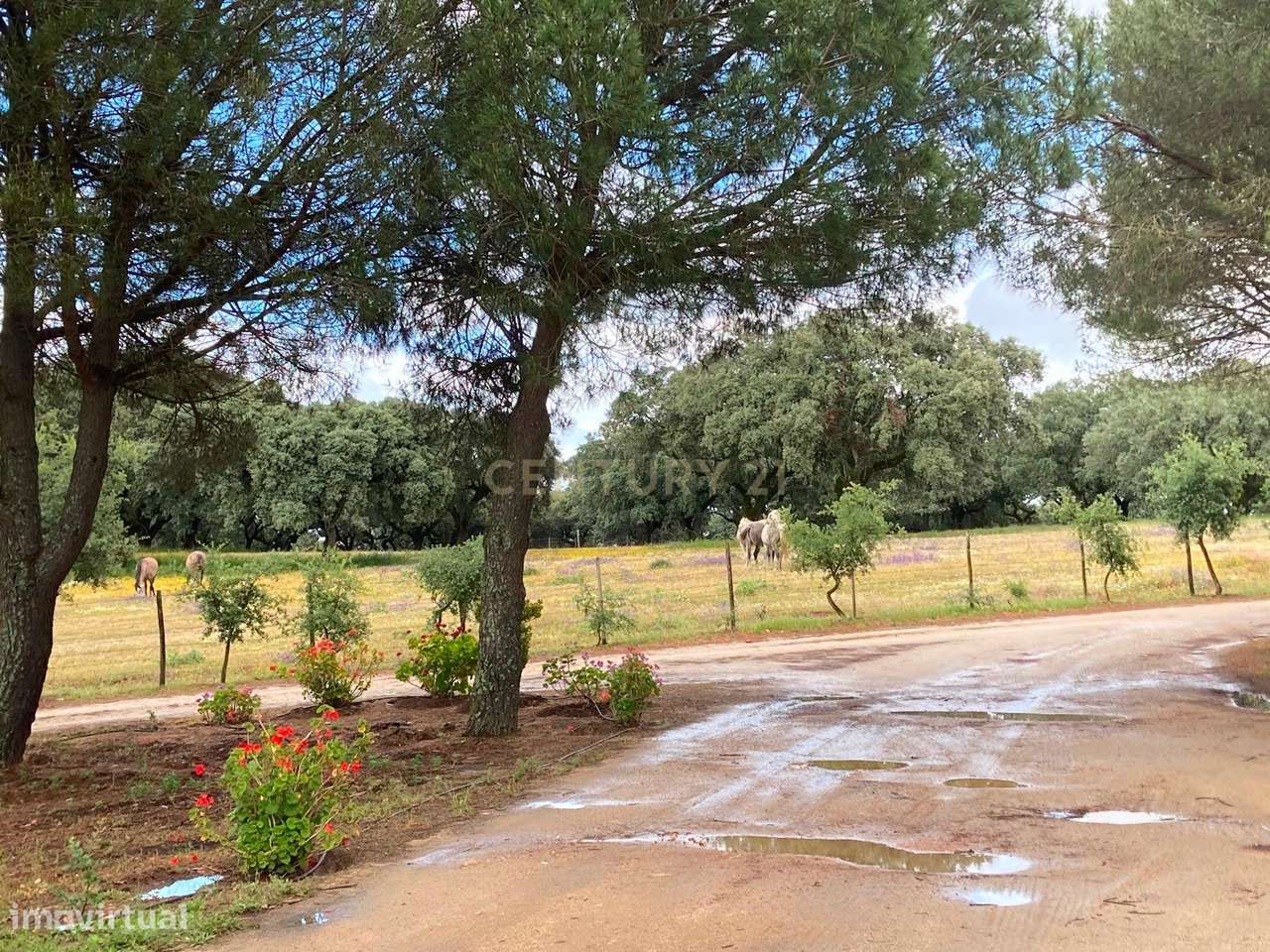 Herdade da Pedra Longa — Um Património Único no Coração do Alentejo-53