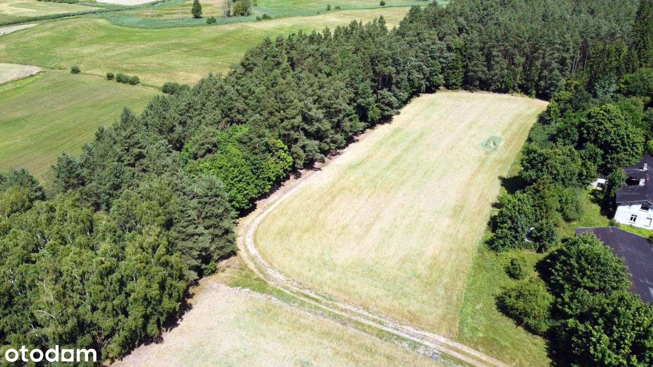 Działka budowlana otoczna lasem Dolina Drwęcy - Pełny obrazek: 4/12