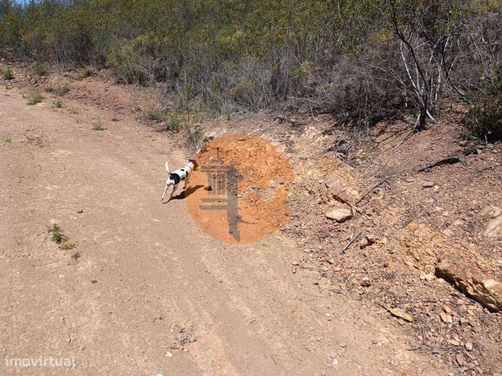 TERRENO COM 10.160 M2 - PRÓXIMO A CORTE DO GAGO - CASTRO MARIM - AL... - Grande imagem: 5/33