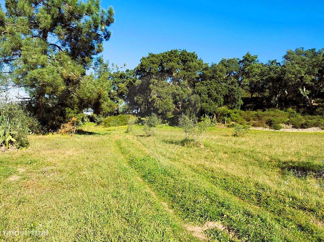 Terreno  para venda - Grande imagem: 5/21