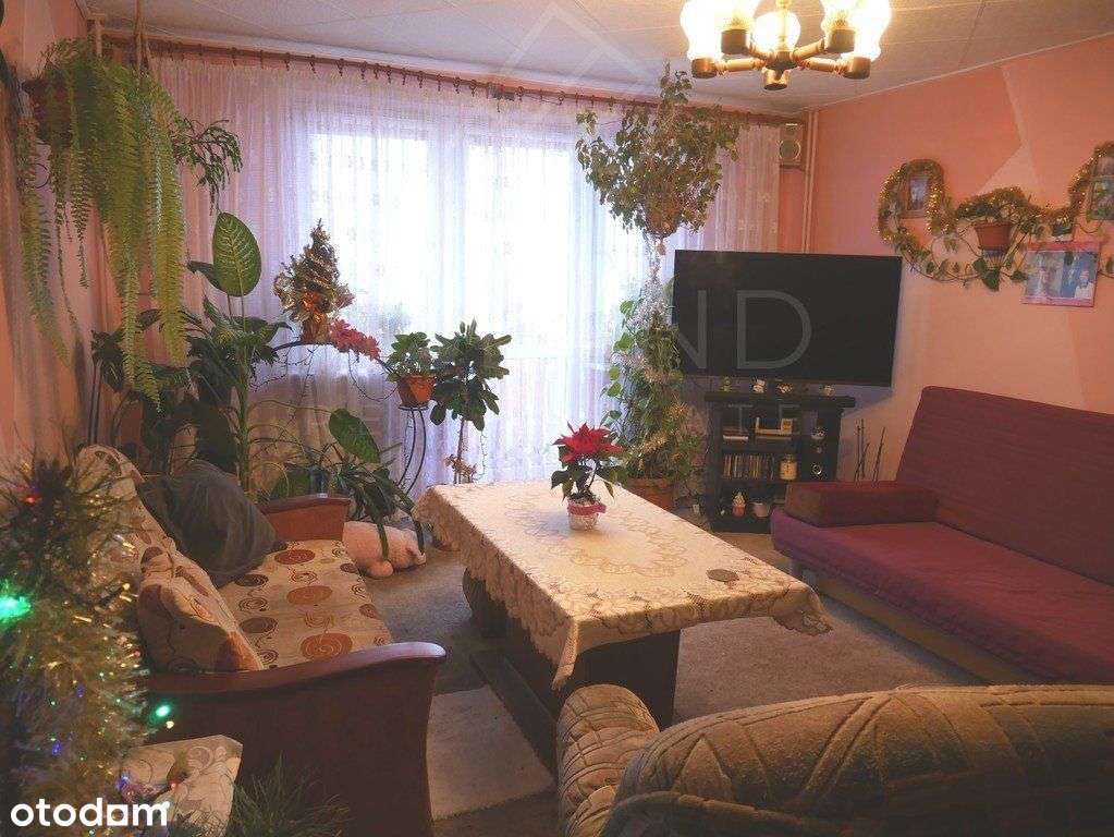 dwa pokoje z balkonem O. Zwycięstwa-8