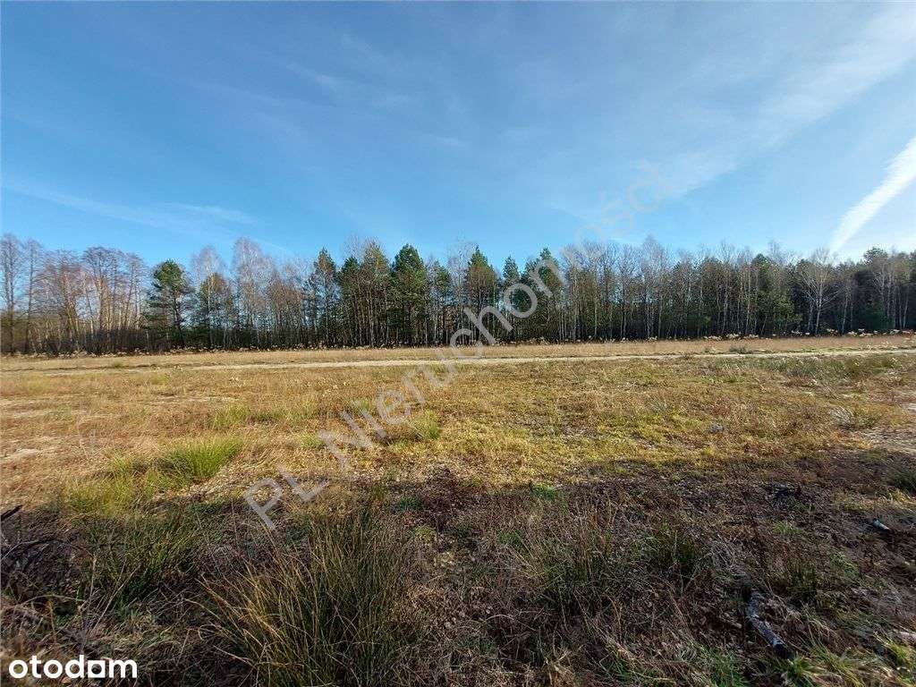 Ostatnia - Piękna Działka W Dobrej Cenie-1