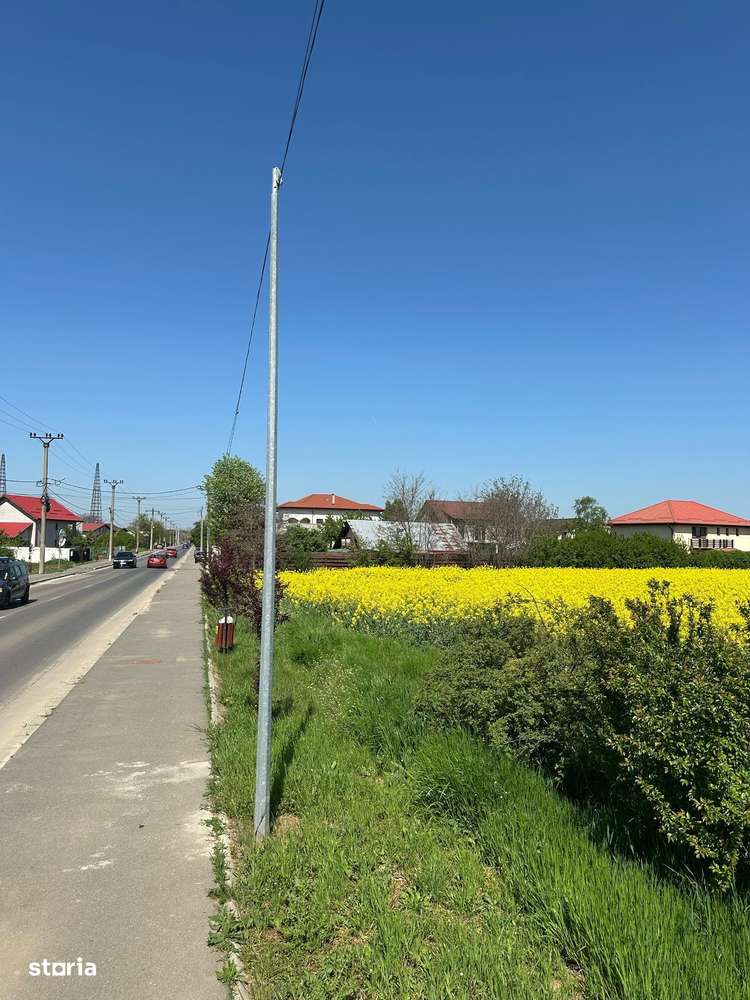Teren intravilan 26.300 mp Saftica Balotesti - PUZ în lucru-18