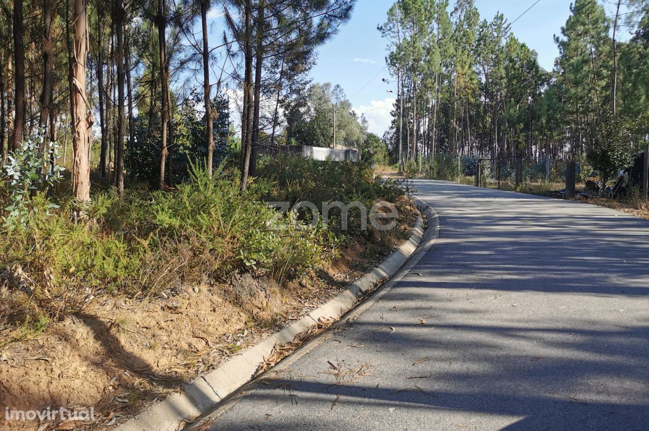 Terreno, acesso betuminoso, viabilidade construtiva, Recardães, Águ...