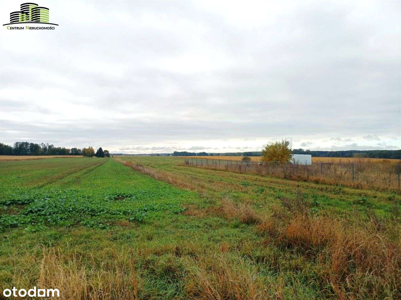 Działka 2960 m², Szerenosy, 20 km od Białegostoku - Pełny obrazek: 5/7