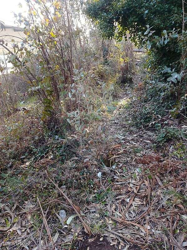 Terreno  para venda - Grande imagem: 5/6