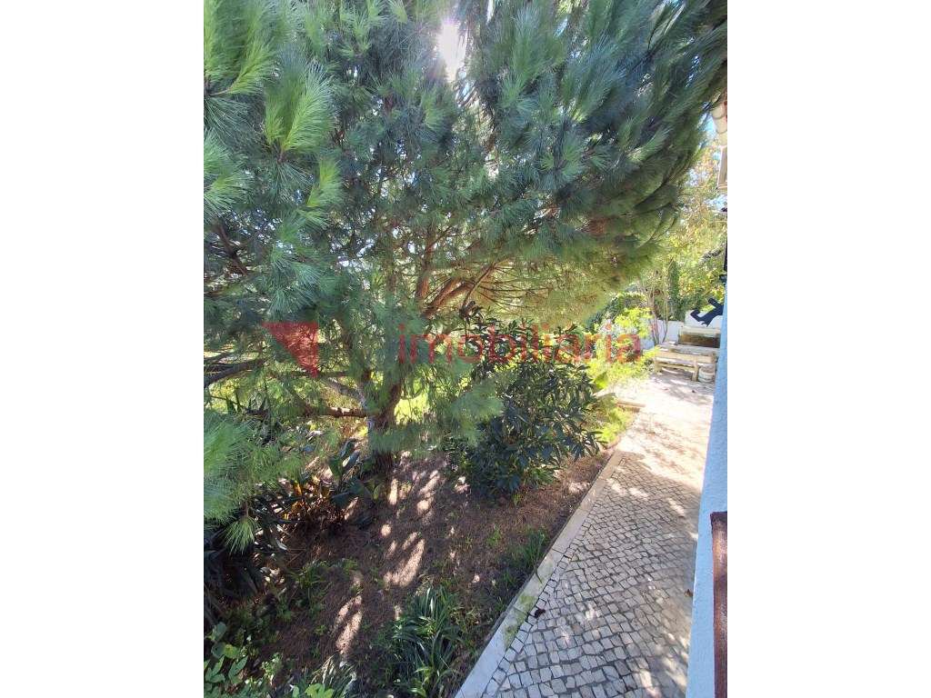 Moradia Rustica inserida numa Magnifica Paisagem Vinícola-30