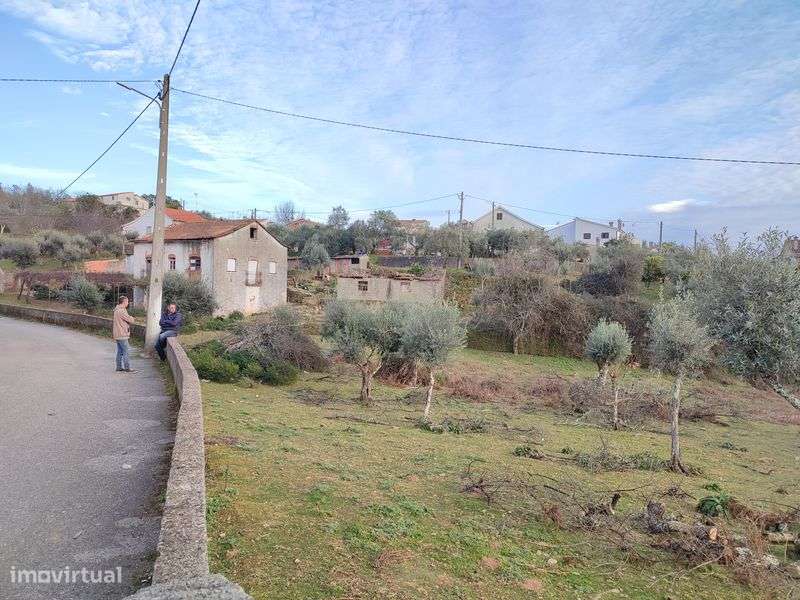 Moradia com terreno em Chã de Álvares – Excelente oportunidade - Grande imagem: 4/6