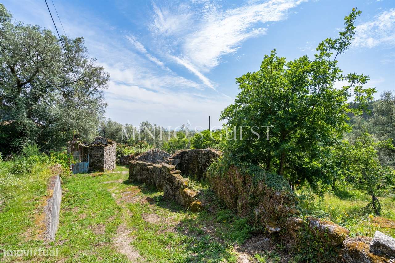 Terreno (700m2) c/ Ruína em Serzedelo – Póvoa de Lanhoso-19