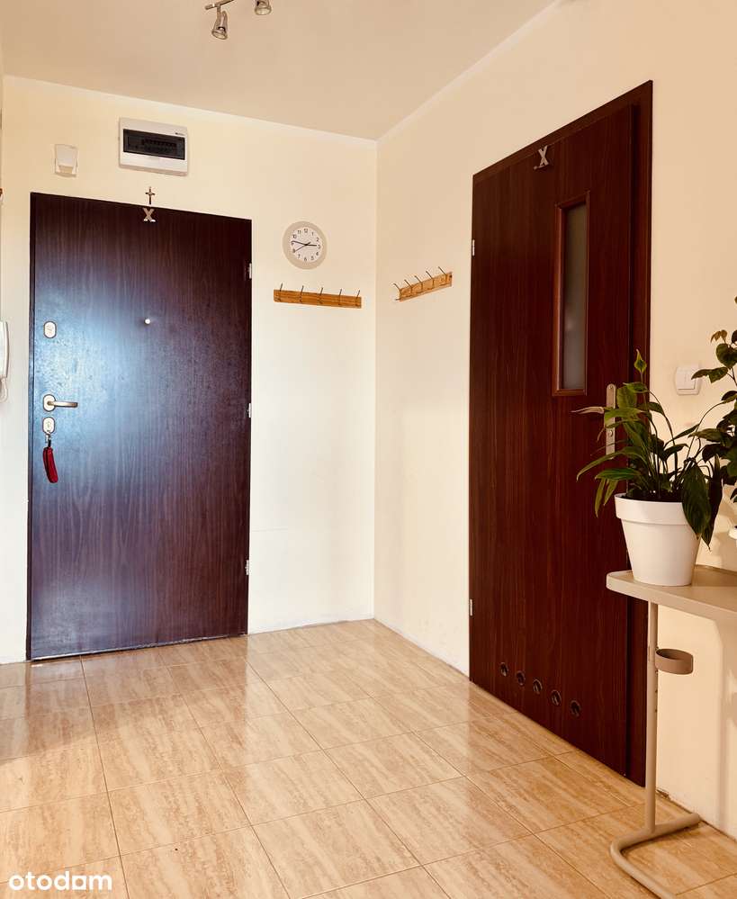 Mieszkanie | Kawalerka | 28 M2 - Pełny obrazek: 5/9